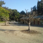 Motel Mibion Bay San Diego Motel Mibion Bay San Diego